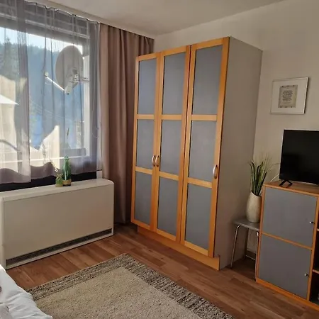 Apartment Gemutliche Ferienwohnung-stella- Gruenau im Almtal