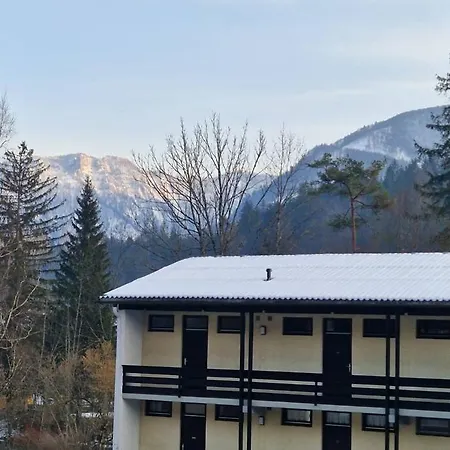 Gemutliche Ferienwohnung-stella- *
